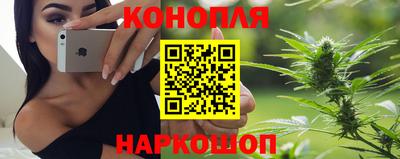 Альфа ПВП Новоалександровск